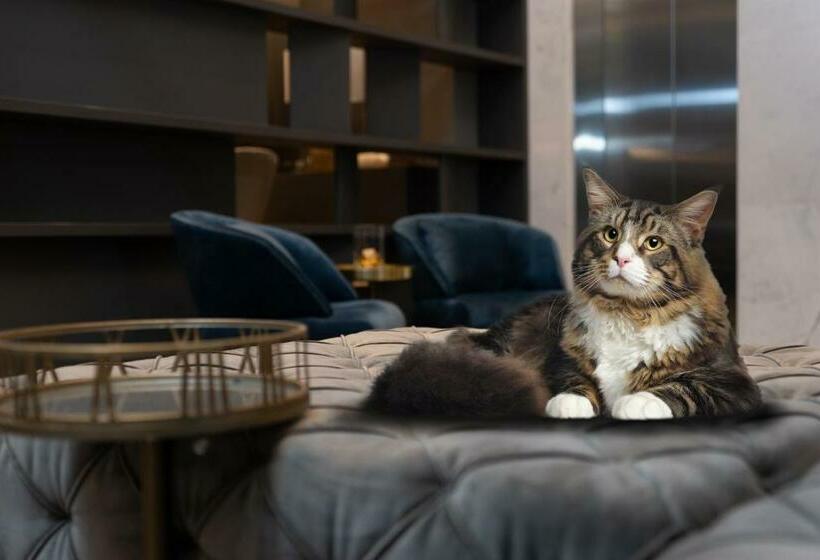 سوئیت پرزیدنت, York Luxury Suites Medellin By Preferred