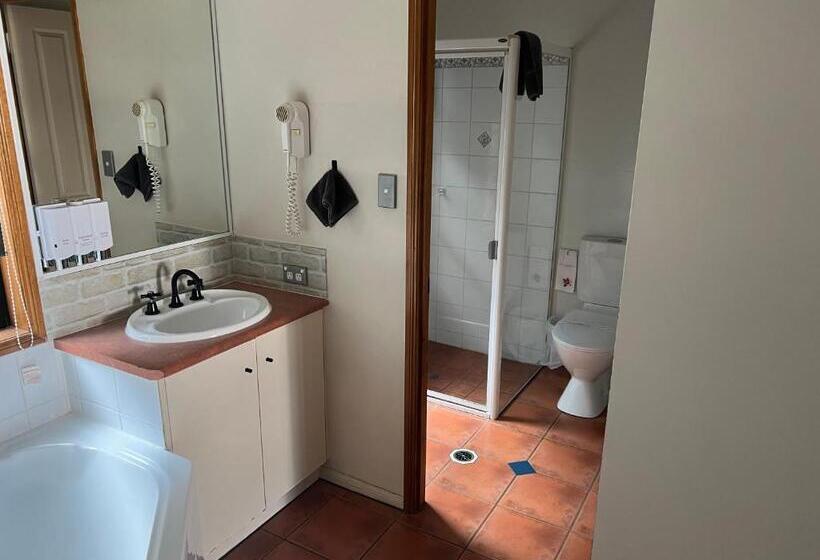 Номер Deluxe, Asters On James Motor Inn