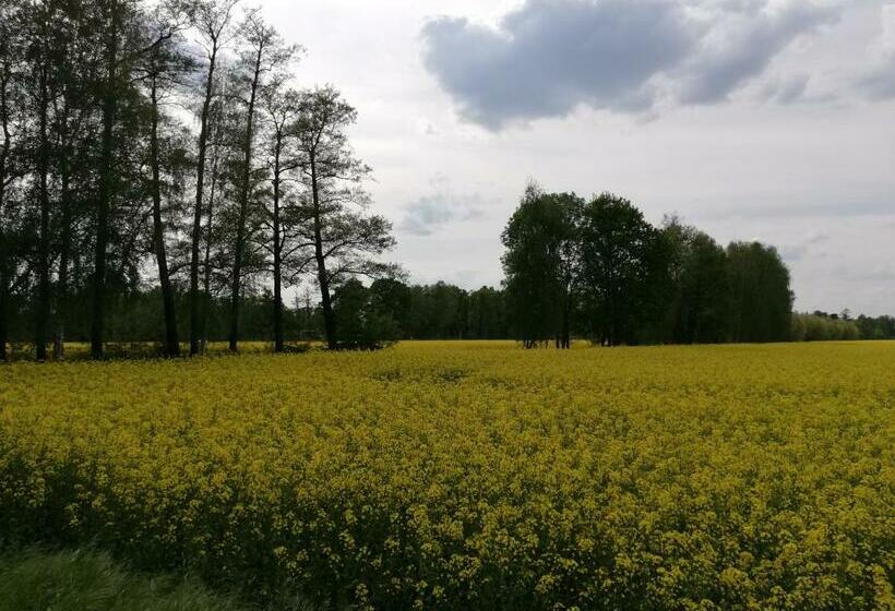 חדר סטנדרט, Am Waldrand Spreewald