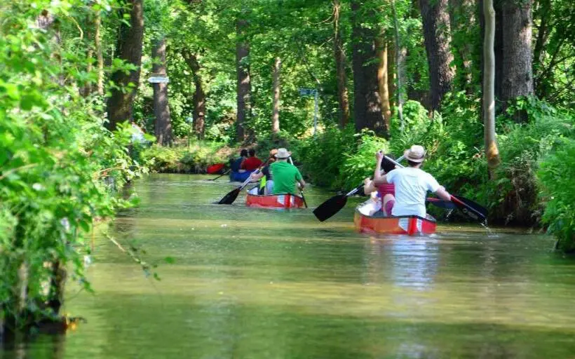 テラス付き１ベッドルームアパートメント, Am Waldrand Spreewald
