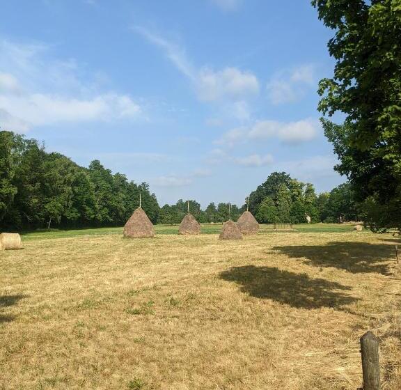חדר סטנדרט, Am Waldrand Spreewald
