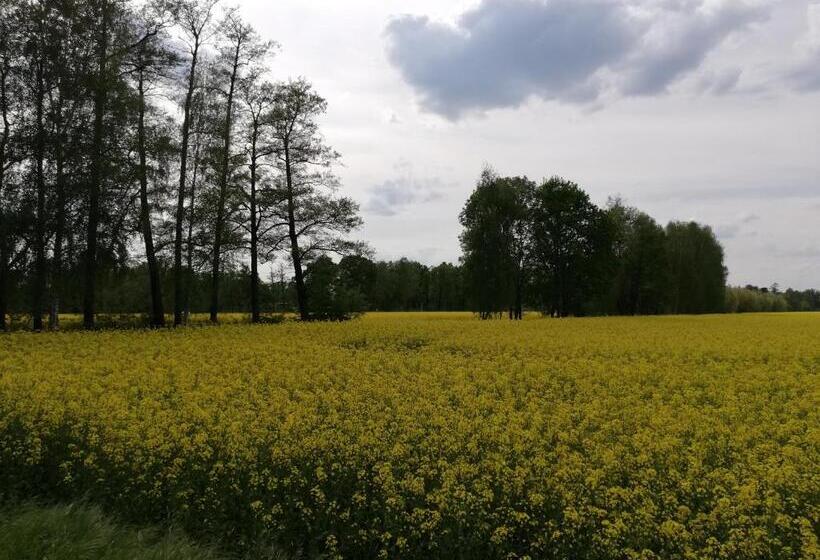 בית, חדר שינה 1, Am Waldrand Spreewald