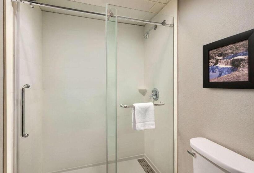 غرفة قياسية سرير كينج, Americinn By Wyndham Branson & Conference Center