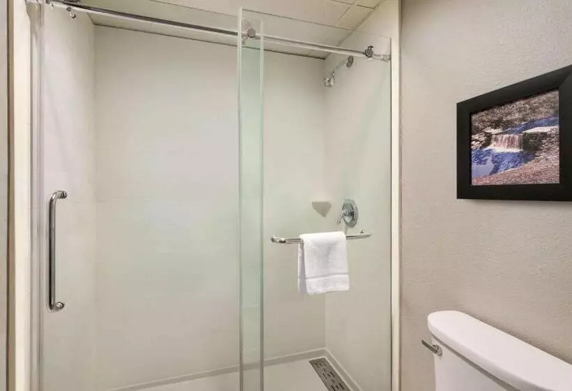 سوئیت با تخت بزرگ, Americinn By Wyndham Branson & Conference Center
