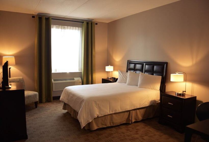 غرفة ديلوكس, Belvedere Inn Schenectady   Albany