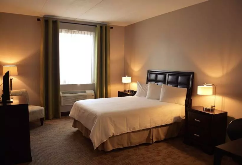 デラックスルーム, Belvedere Inn Schenectady   Albany