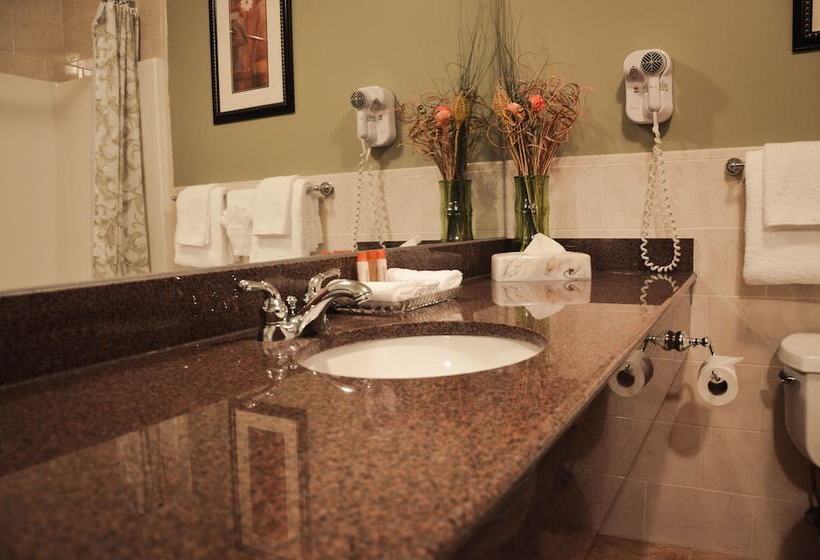 غرفة ديلوكس, Belvedere Inn Schenectady   Albany