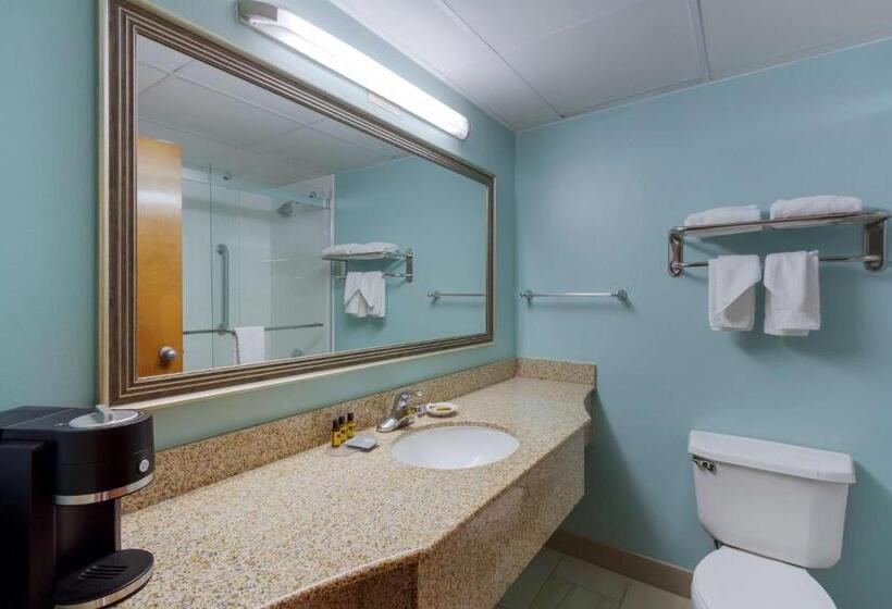 스탠다드 룸 킹사이즈 침대, Best Western Plus Wilmington/wrightsville Beach