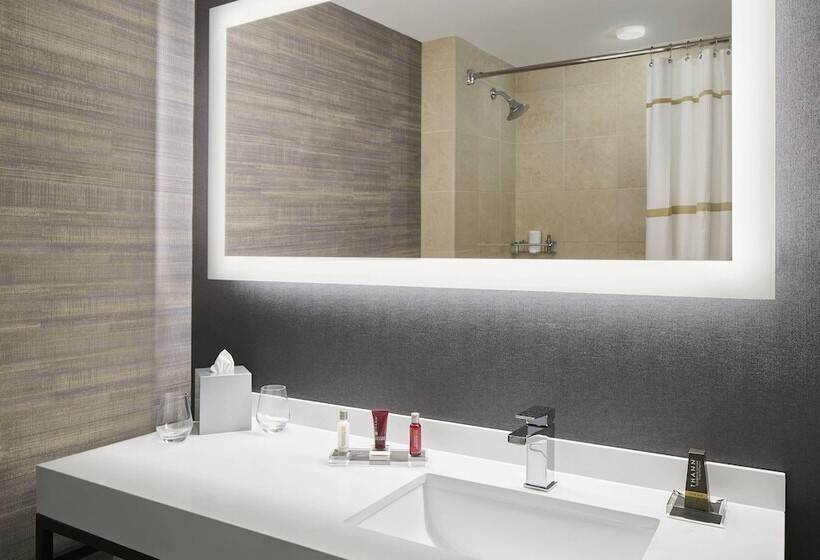 스탠다드 룸 더블 침대 2개, Bethesda North Marriott Hotel & Conference Center