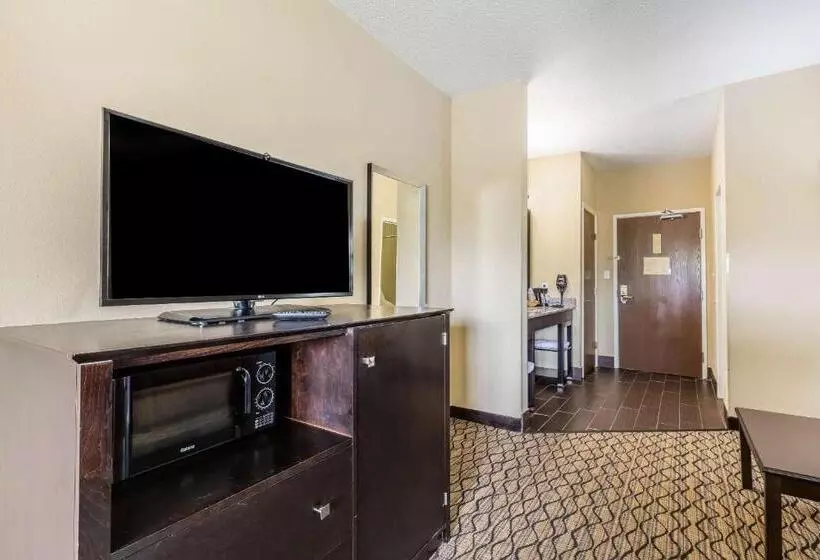 اتاق استاندارد با تخت بزرگ, Comfort Inn & Suites Crystal Inn Sportsplex