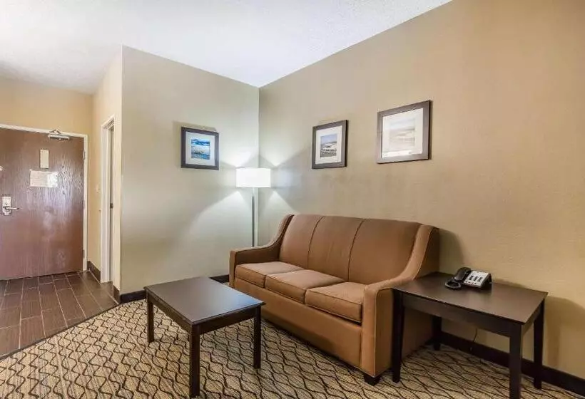 اتاق استاندارد با تخت بزرگ, Comfort Inn & Suites Crystal Inn Sportsplex
