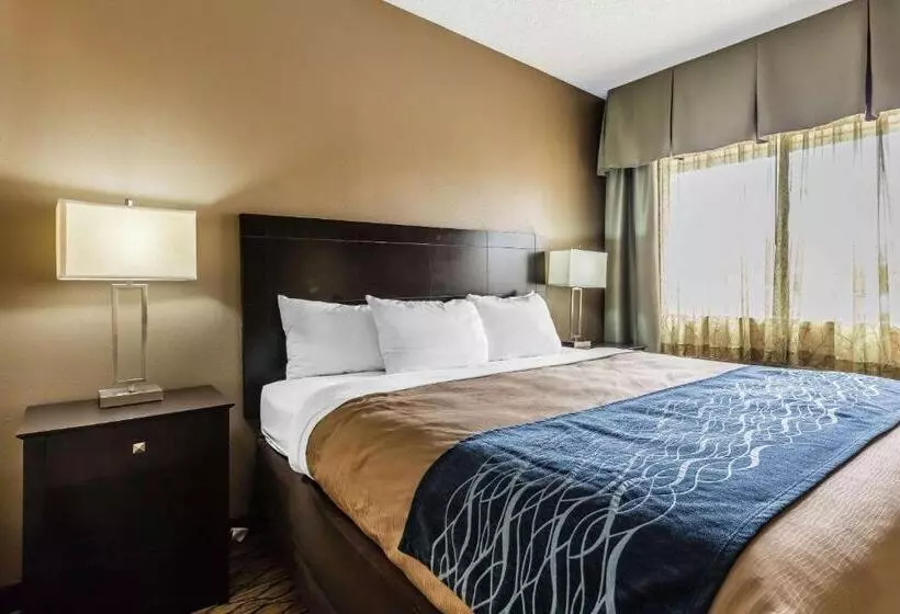 اتاق استاندارد با تخت بزرگ, Comfort Inn & Suites Crystal Inn Sportsplex
