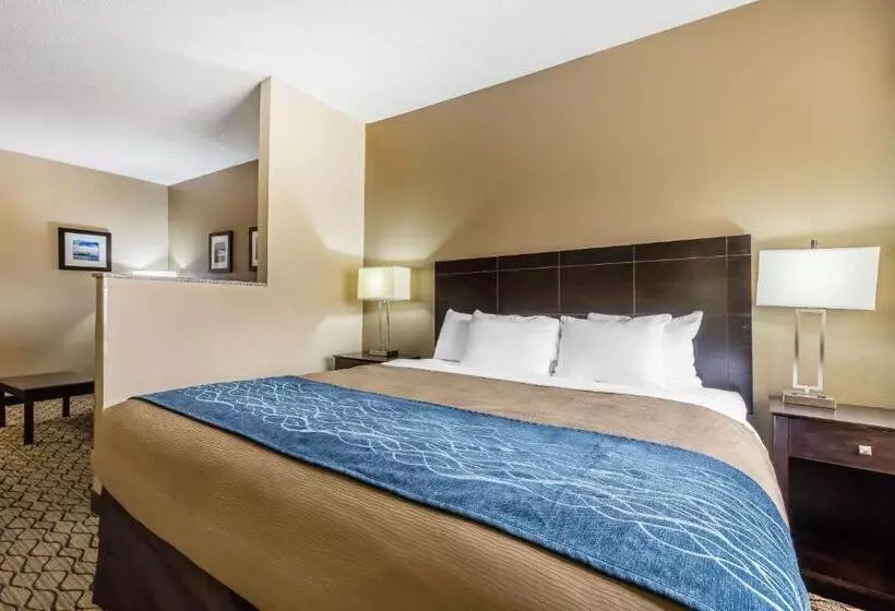 اتاق استاندارد با تخت بزرگ, Comfort Inn & Suites Crystal Inn Sportsplex