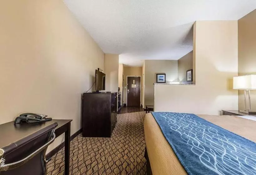 اتاق استاندارد با تخت بزرگ, Comfort Inn & Suites Crystal Inn Sportsplex