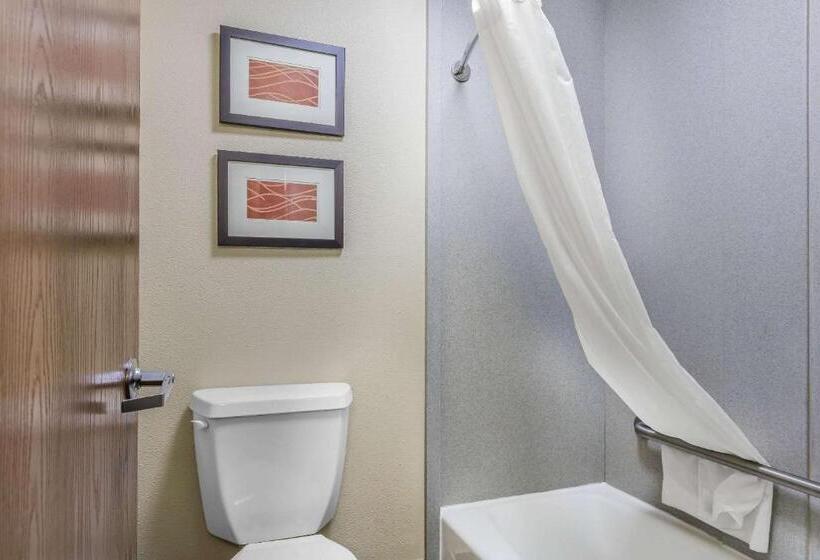 غرفة قياسية, Comfort Inn & Suites Crystal Inn Sportsplex