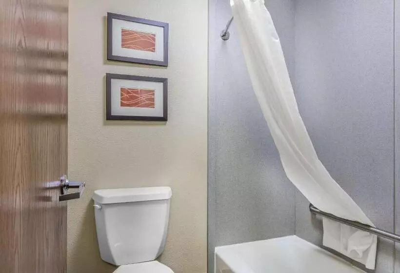 اتاق استاندارد, Comfort Inn & Suites Crystal Inn Sportsplex