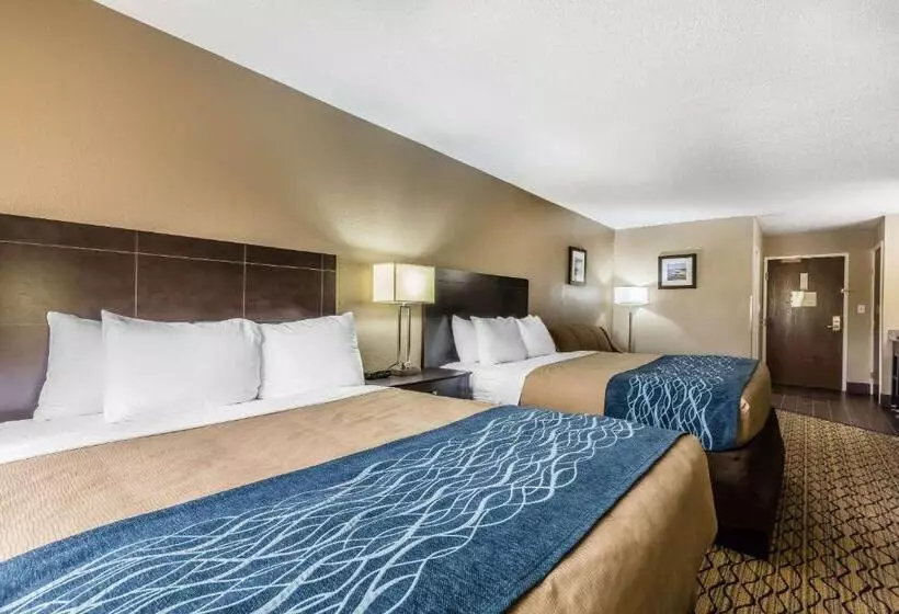 اتاق استاندارد, Comfort Inn & Suites Crystal Inn Sportsplex