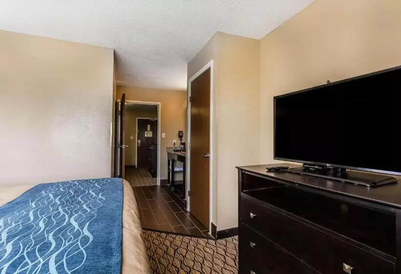 سوئیت با تخت بزرگ, Comfort Inn & Suites Crystal Inn Sportsplex