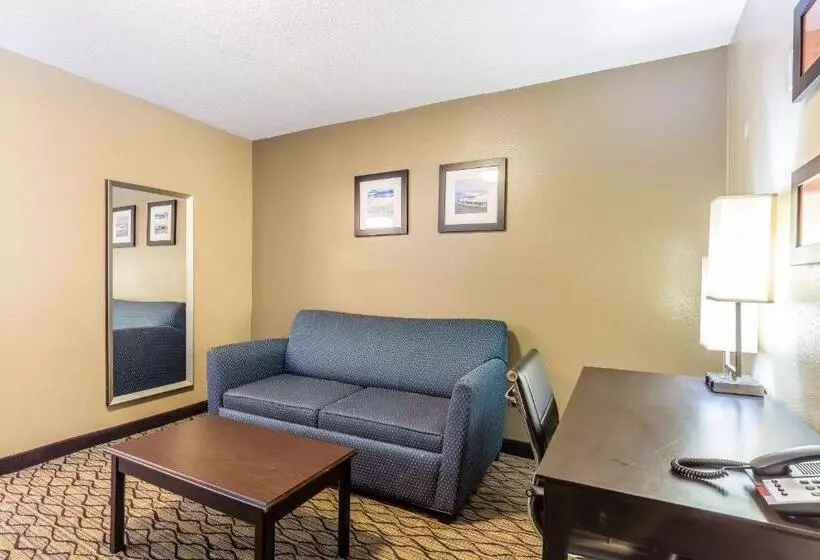 سوئیت با تخت بزرگ, Comfort Inn & Suites Crystal Inn Sportsplex