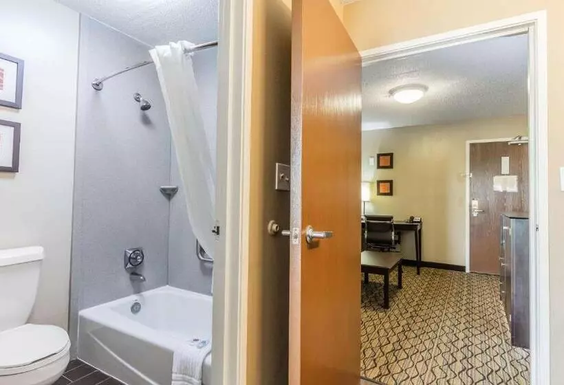سوئیت با تخت بزرگ, Comfort Inn & Suites Crystal Inn Sportsplex