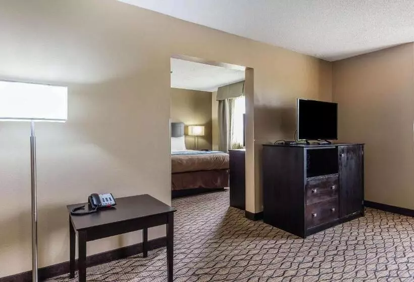سوئیت با تخت بزرگ, Comfort Inn & Suites Crystal Inn Sportsplex