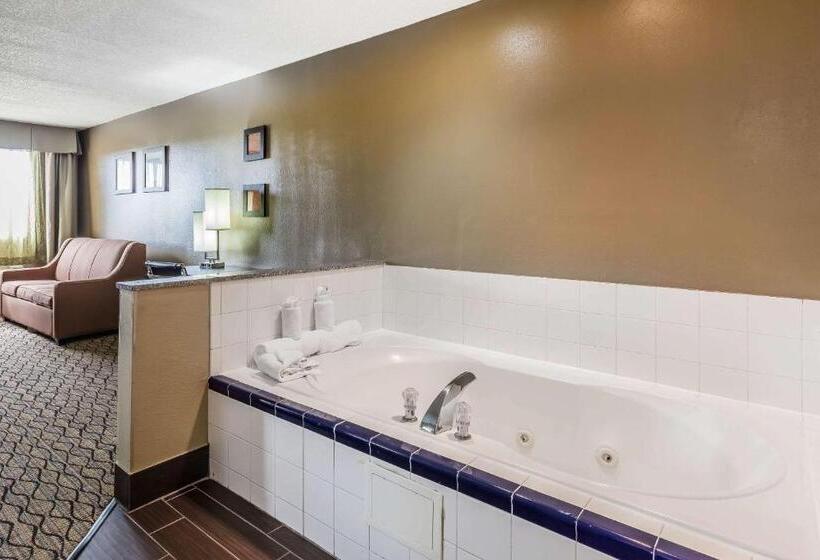 جناح سرير كينج, Comfort Inn & Suites Crystal Inn Sportsplex