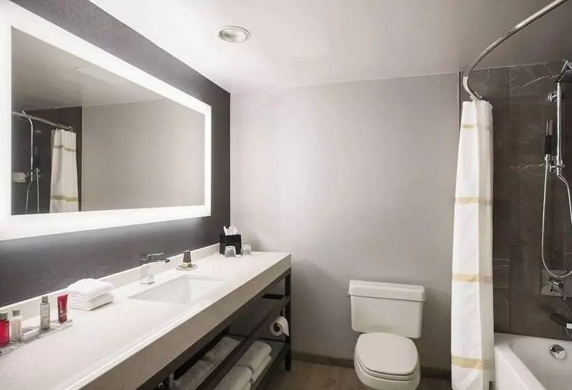 ダブルベッドスタンダードルーム, Courtyard By Marriott Chicago At Medical District Uic