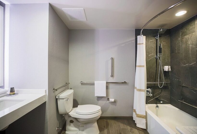 اتاق استاندارد با تخت دوبل, Courtyard By Marriott Chicago At Medical District Uic