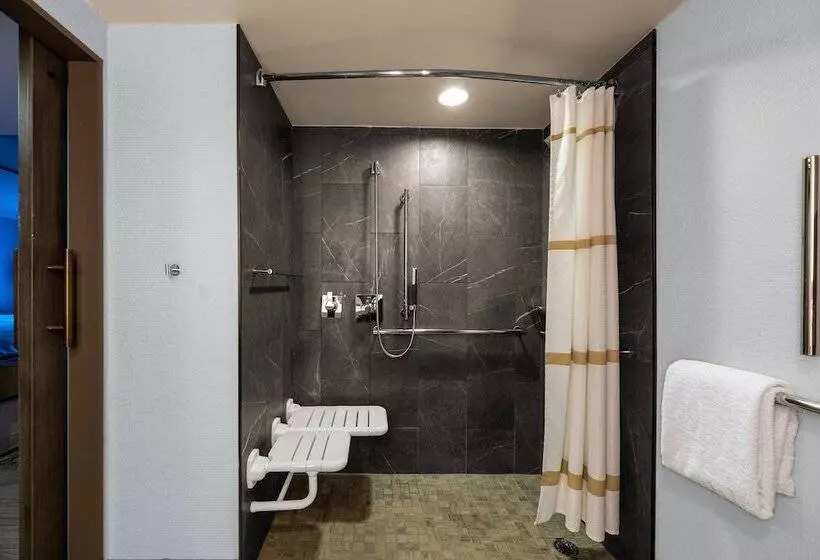 ダブルベッドスタンダードルーム, Courtyard By Marriott Chicago At Medical District Uic