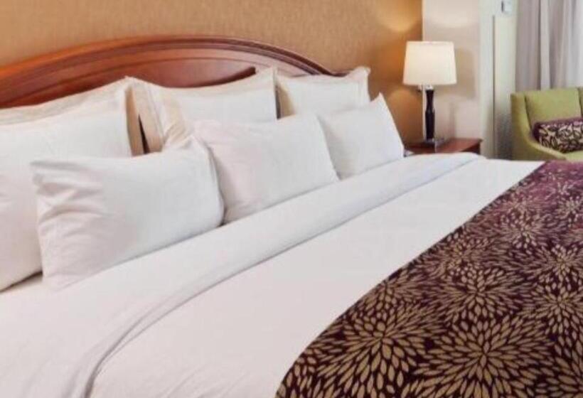 适合残疾人士使用的带超级大床的标准间, Denver Marriott South At Park Meadows