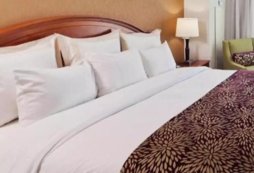 身障者適用キングサイズベッドルーム, Denver Marriott South At Park Meadows