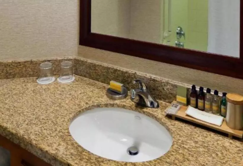身障者適用キングサイズベッドルーム, Denver Marriott South At Park Meadows