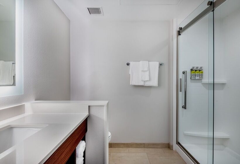 غرفة قياسية, Holiday Inn Express & Suites Santa Ana   Orange County, An Ihg