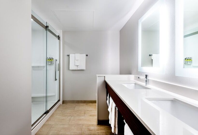 Люкс, Holiday Inn Express & Suites Santa Ana   Orange County, An Ihg