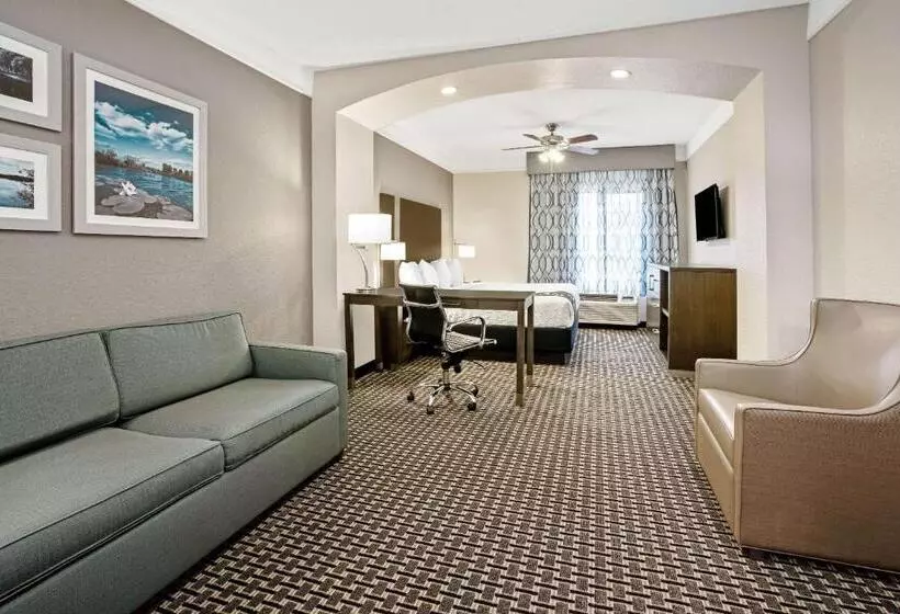 キングサイズベッドのエクゼクティブルーム, La Quinta By Wyndham Conroe