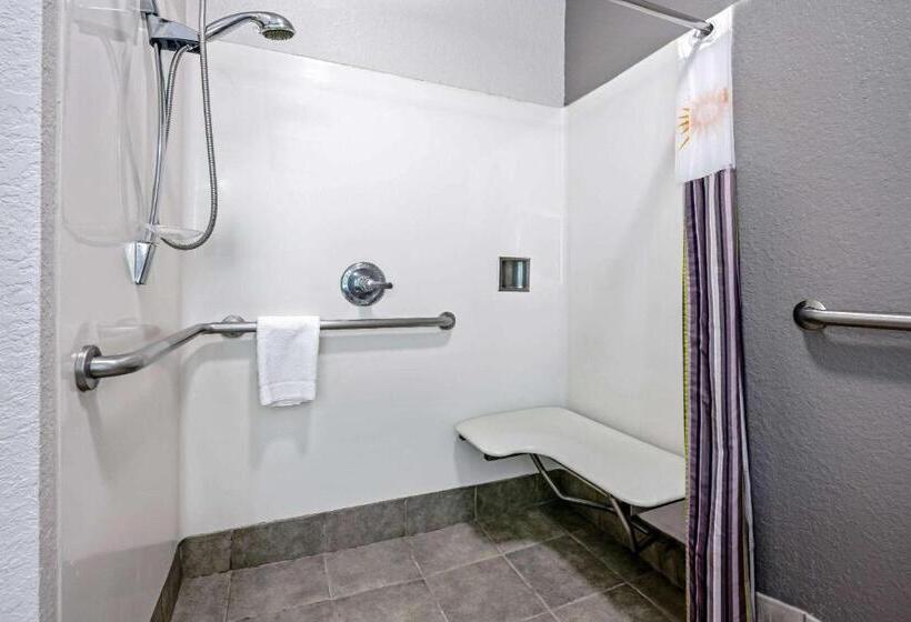 残疾人使用的带特大床的标准间, La Quinta By Wyndham Conroe