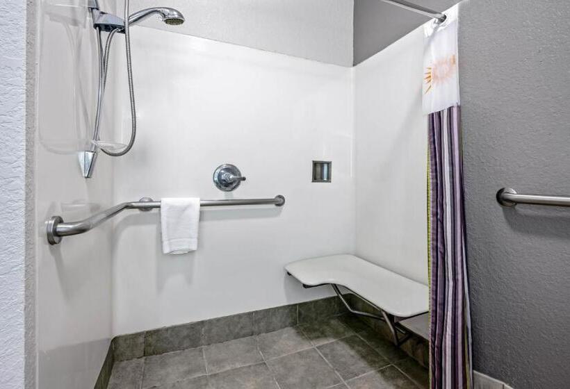 残疾人使用的带特大床的标准间, La Quinta By Wyndham Conroe