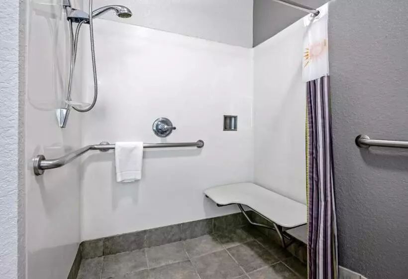 身障者適用クイーンサイズベッドルーム, La Quinta By Wyndham Conroe