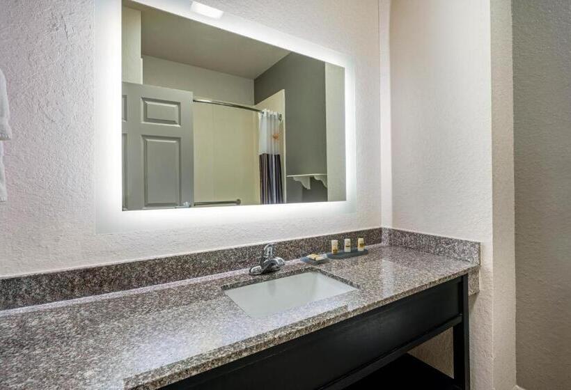 Люкс Кровать Кинг, La Quinta By Wyndham Conroe