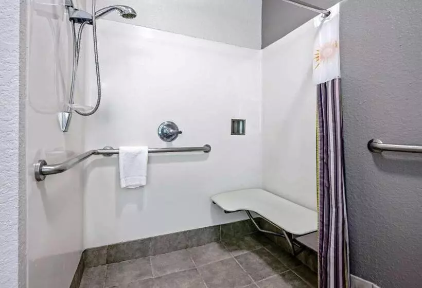 身障者適用スイートルーム, La Quinta By Wyndham Conroe