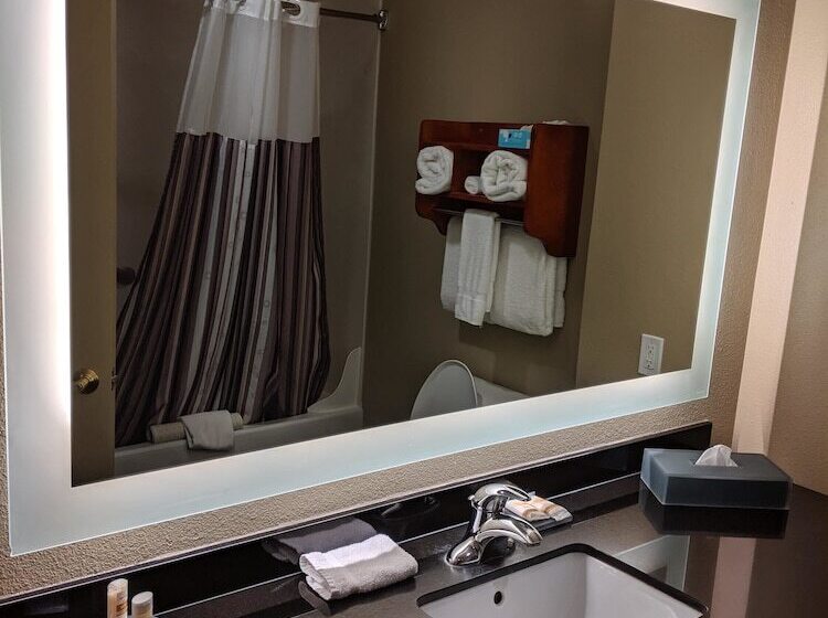 장애인용 디럭스룸, La Quinta By Wyndham North Platte