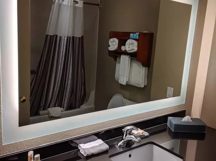 اتاق دلوکس مخصوص معلولین, La Quinta By Wyndham North Platte