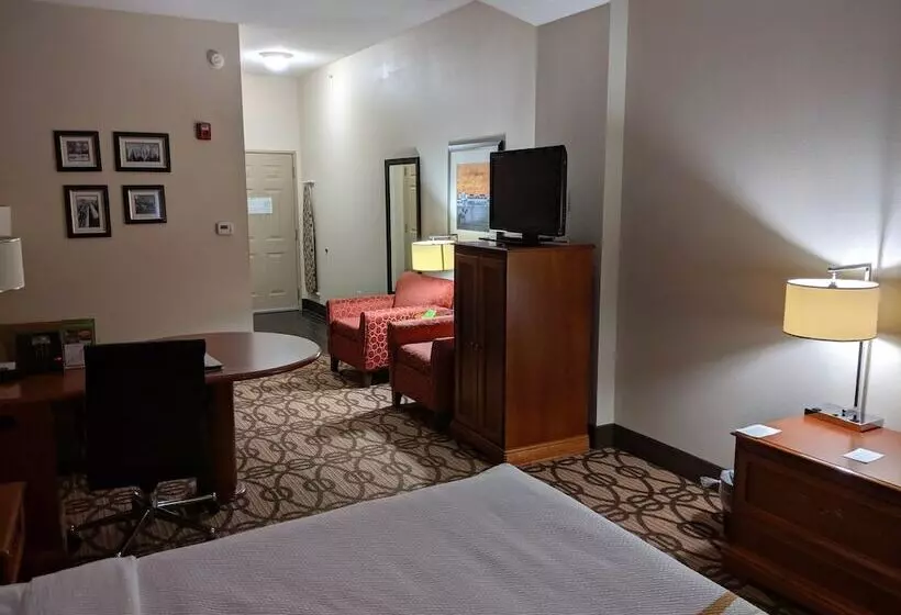 اتاق دلوکس مخصوص معلولین, La Quinta By Wyndham North Platte