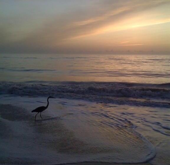 جناح مطلّ علي البحر, Ocean Front Paradise Resort