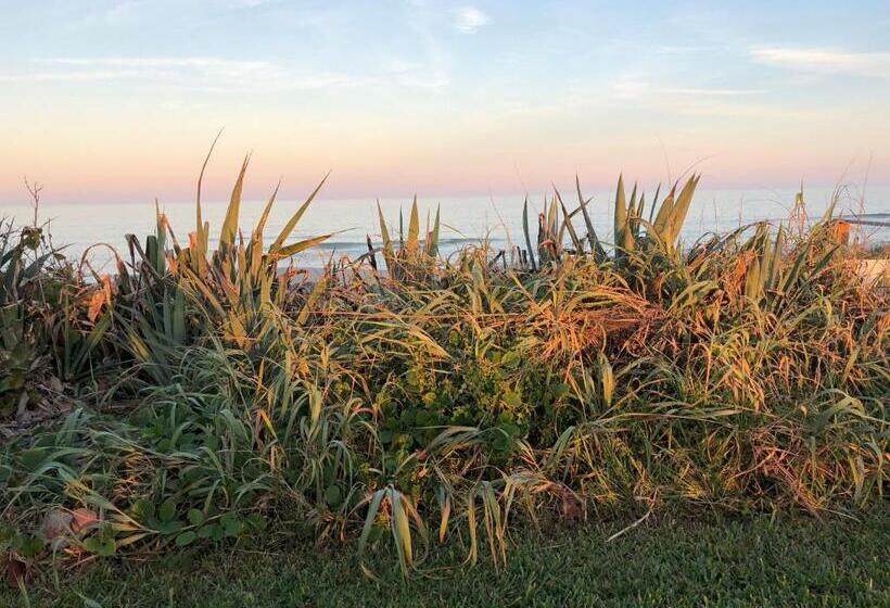 جناح مطلّ علي البحر, Ocean Front Paradise Resort