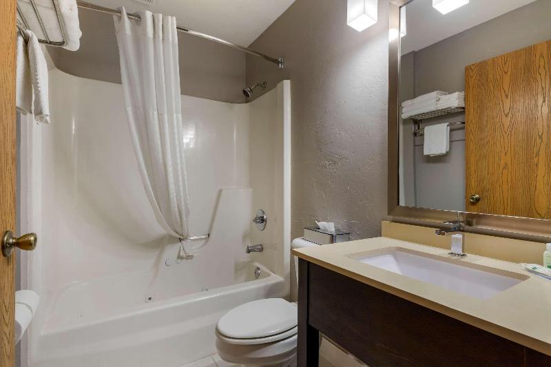 장애인을 위한 킹사이즈 침대 스탠다드 룸, Quality Inn