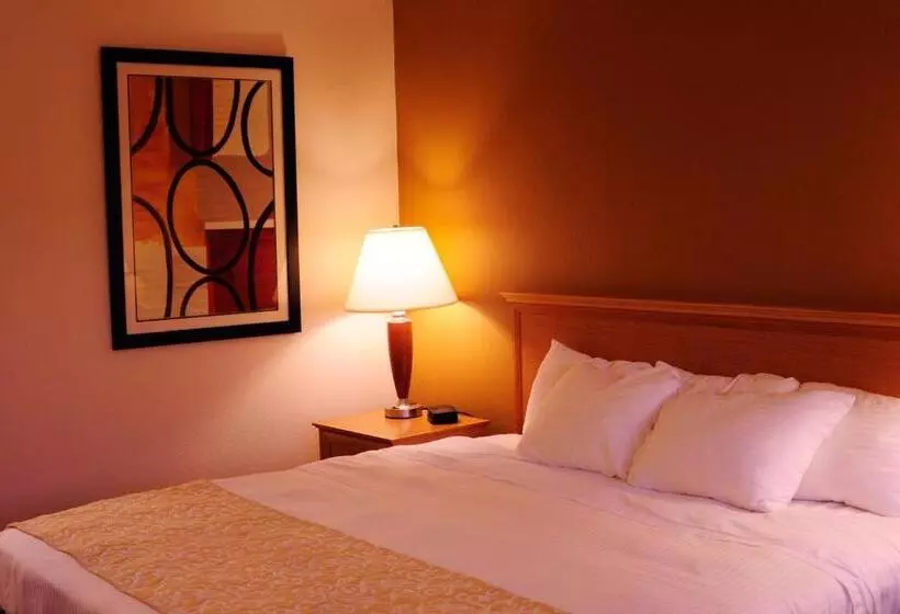 اتاق استاندارد با تخت بزرگ, Whispering Hills Inn