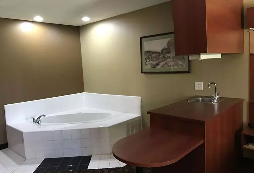 デラックススタジオ, Microtel Inn & Suites By Wyndham Lithonia/stone Mountain