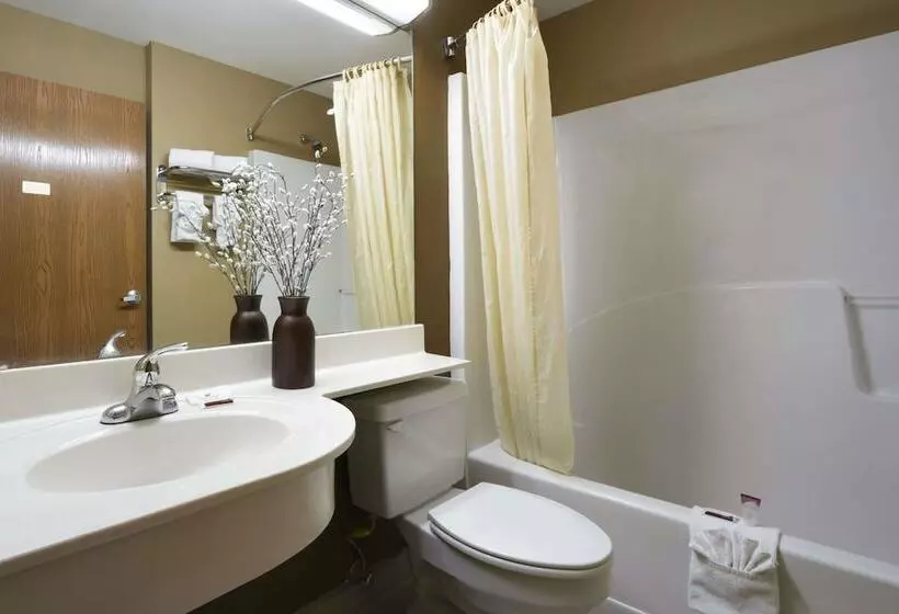デラックススタジオ, Microtel Inn & Suites By Wyndham Lithonia/stone Mountain