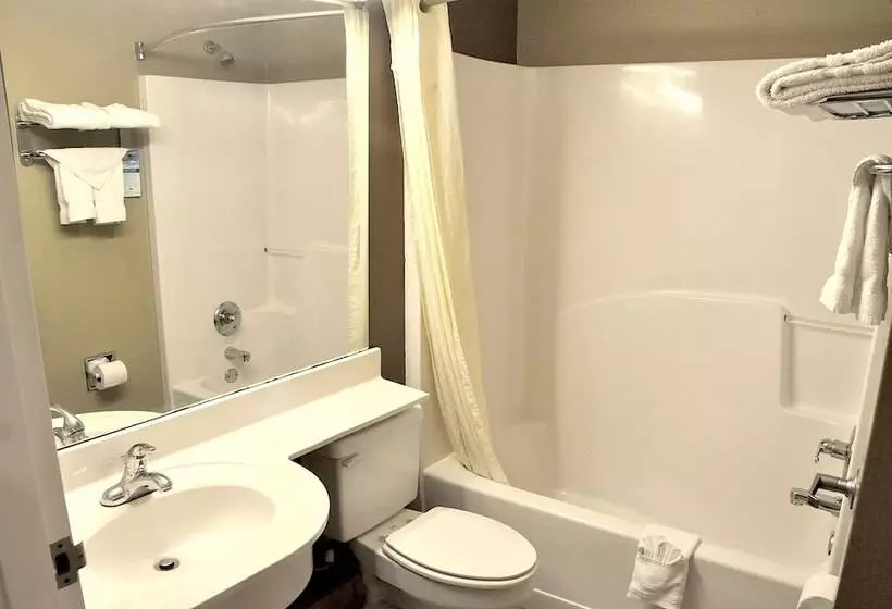 デラックススタジオ, Microtel Inn & Suites By Wyndham Lithonia/stone Mountain